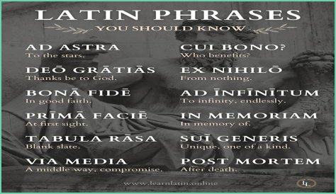 A Profile Of A Latin Beauty