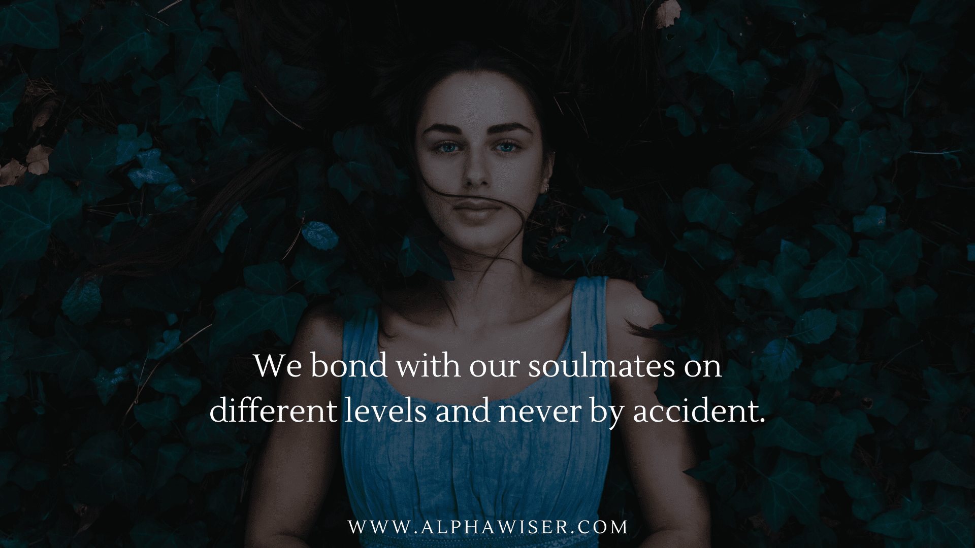 We bond with our soulmates on different levels and never by accident