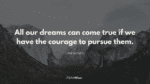 All our dreams can come true if we have the courage to pursue them