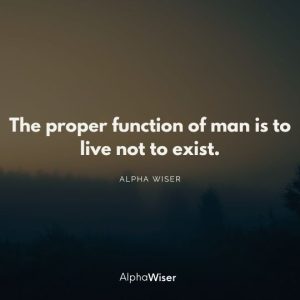 The proper function of man is to live not to exist