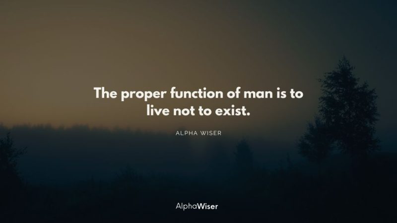 The proper function of man is to live not to exist