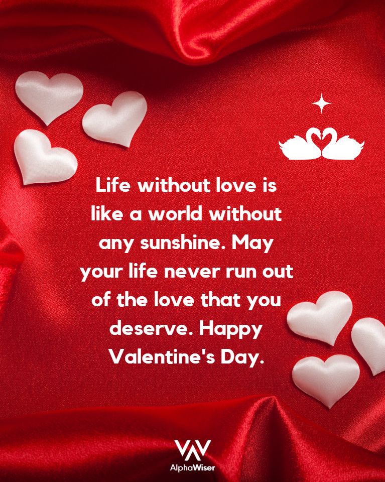 Life without love is like a world without any sunshine. May your life never run out of the love that you deserve. Happy Valentine’s Day.