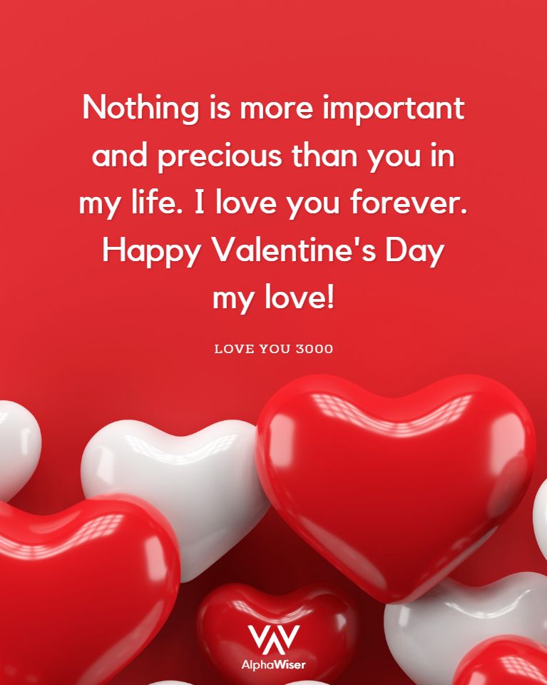 Nothing is more important and precious than you in my life. I love you forever. Happy Valentine’s Day my love!