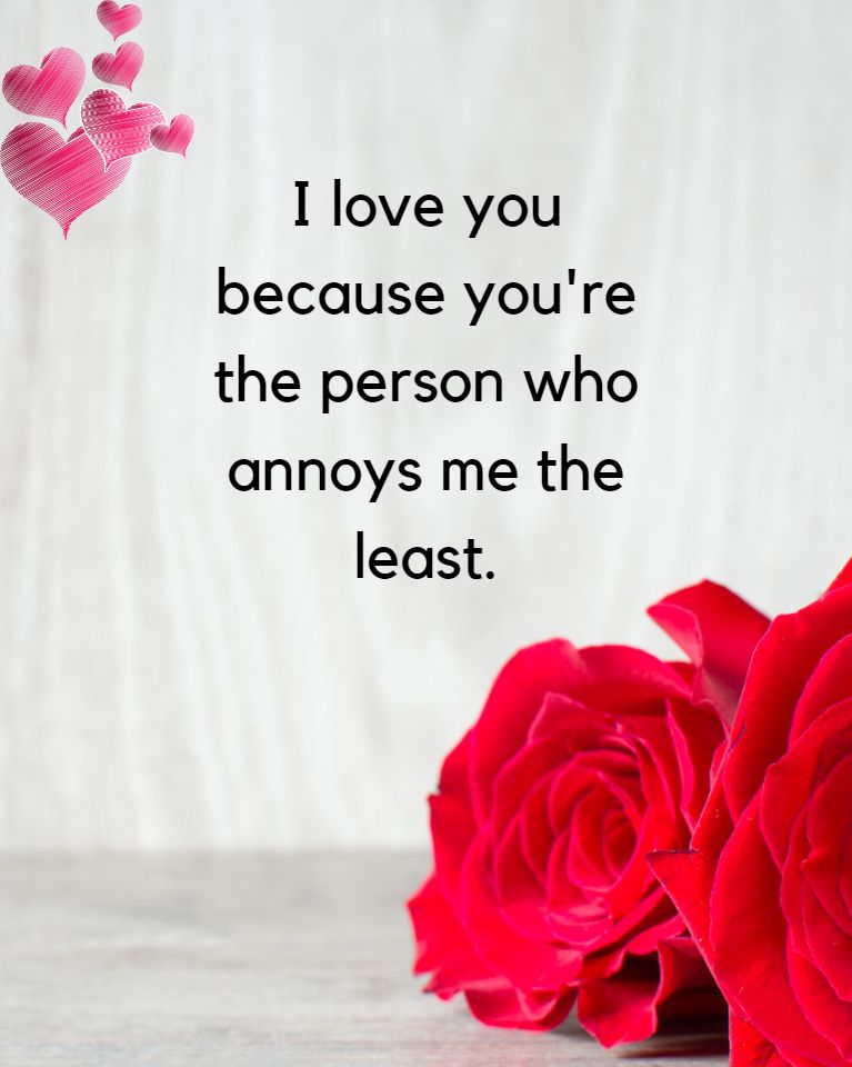I love you because you're the person who annoys me the least.
