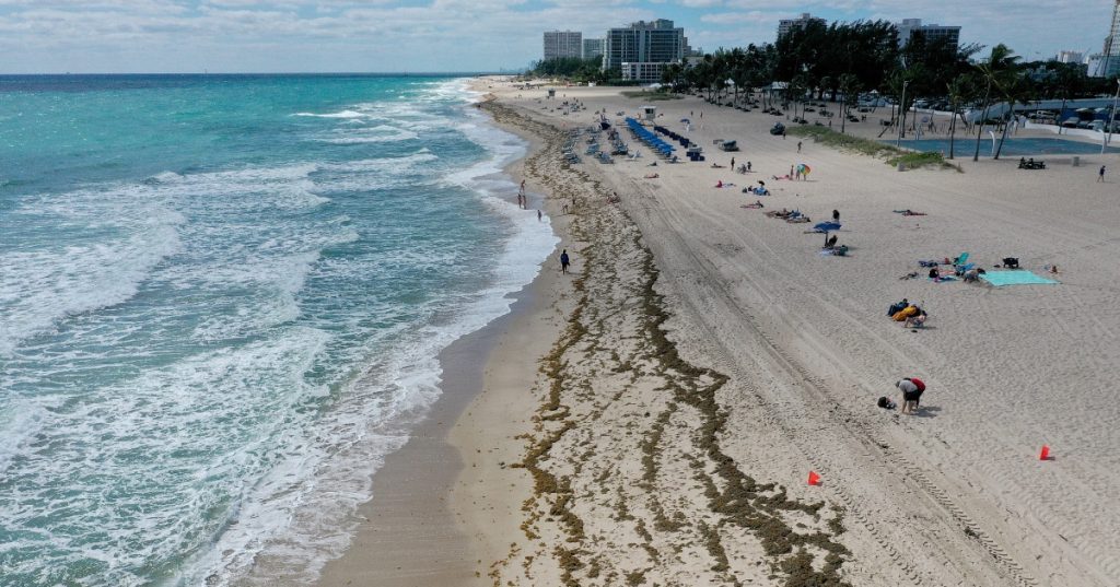 Indiana girl, 7, buried alive playing in hole on south Florida beach