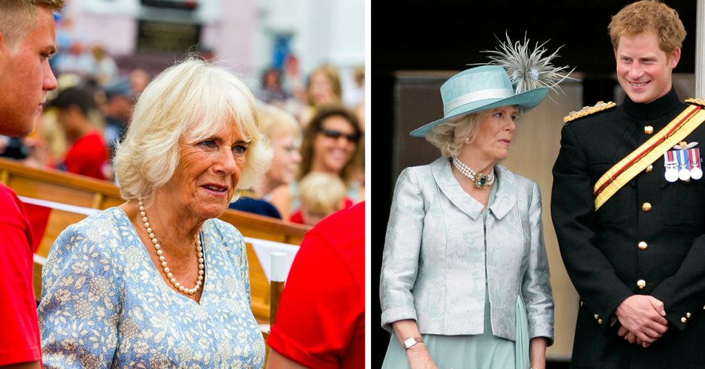 Queen Camilla ‘outraged’ after Prince Harry’s visit to see his father for “loving son PR stunt”, claims source
